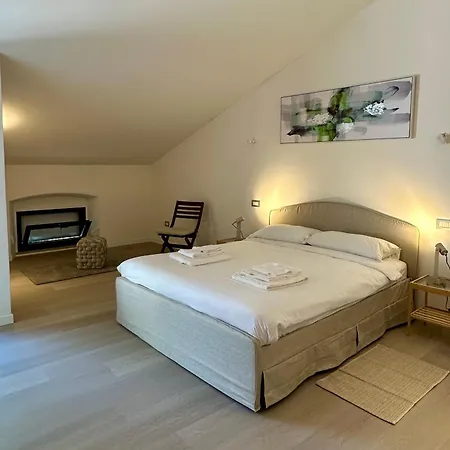 Steve Mansion Centre